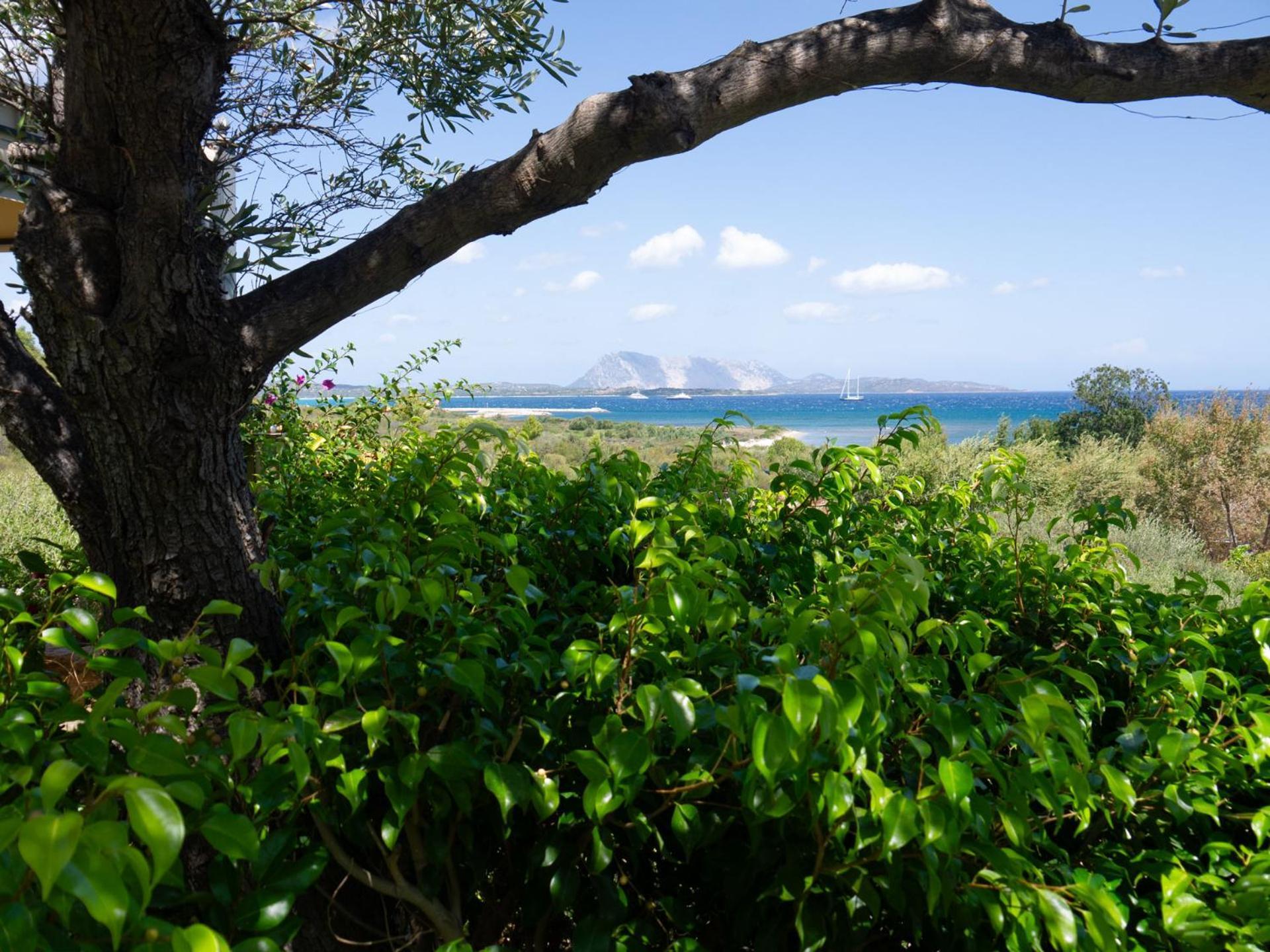 Villa Minda Lodge & View Сан-Теодоро Екстер'єр фото